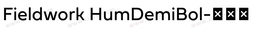 Fieldwork HumDemiBol字体转换